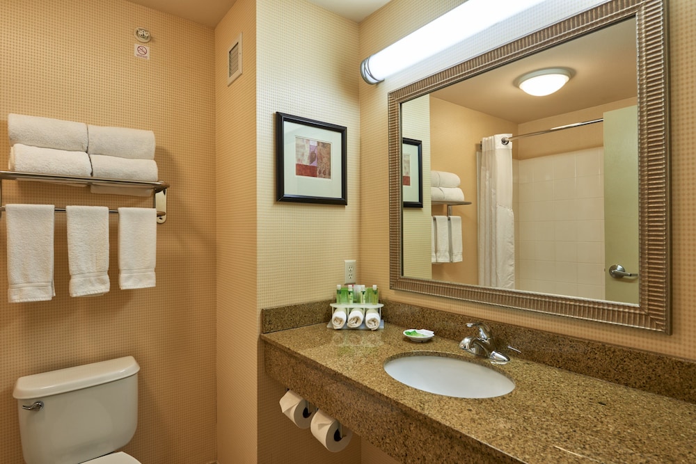 Holiday Inn Express Hotel and Suites El Paso Airport Area 24/64