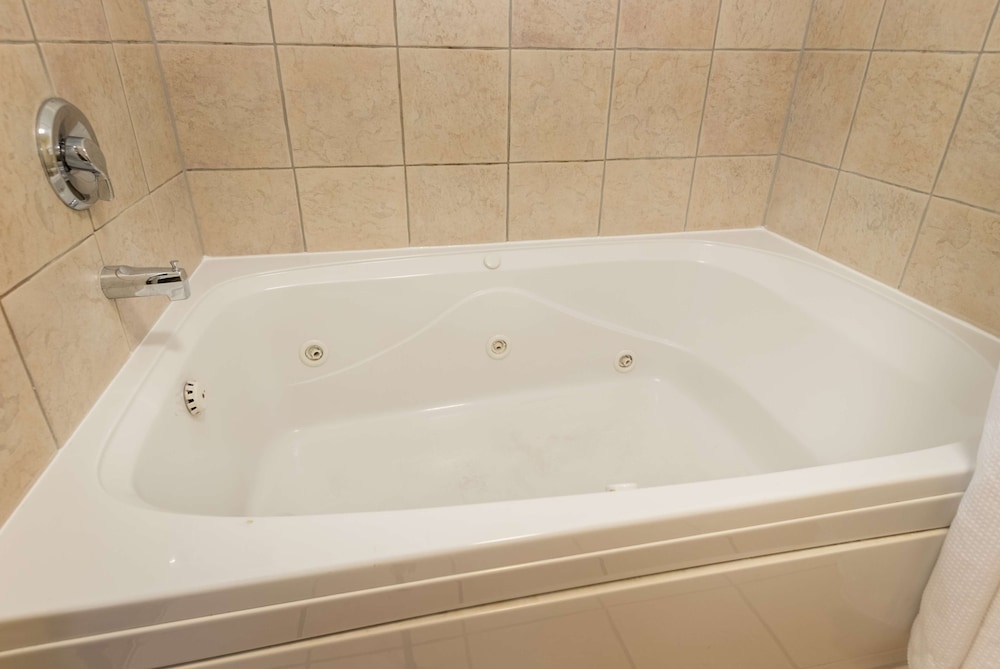 White Pines Inn & Suites of Holland 24/48