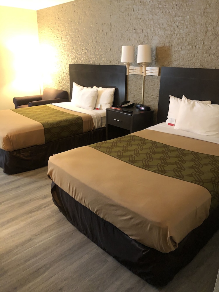 Econo Lodge Metro 13/36