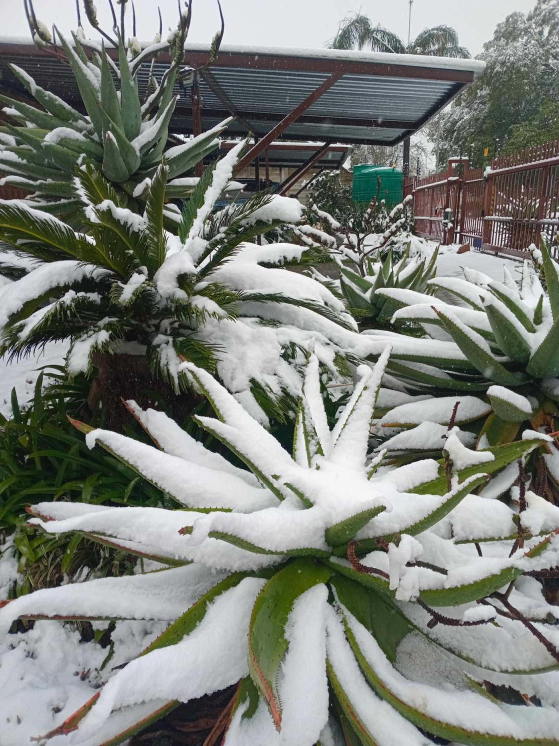 Blessings Guest House 38/45