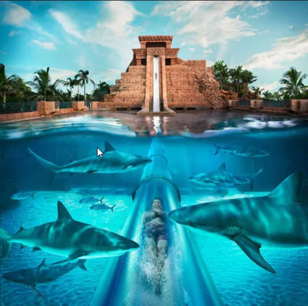 Comfort Suites Paradise Island 25/55