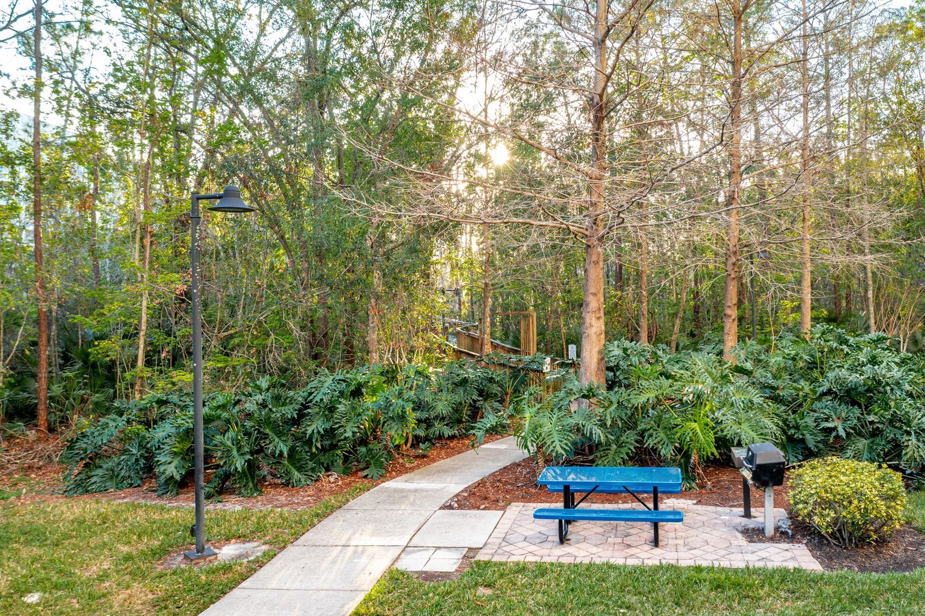 Vacation Village At Parkway 38/48