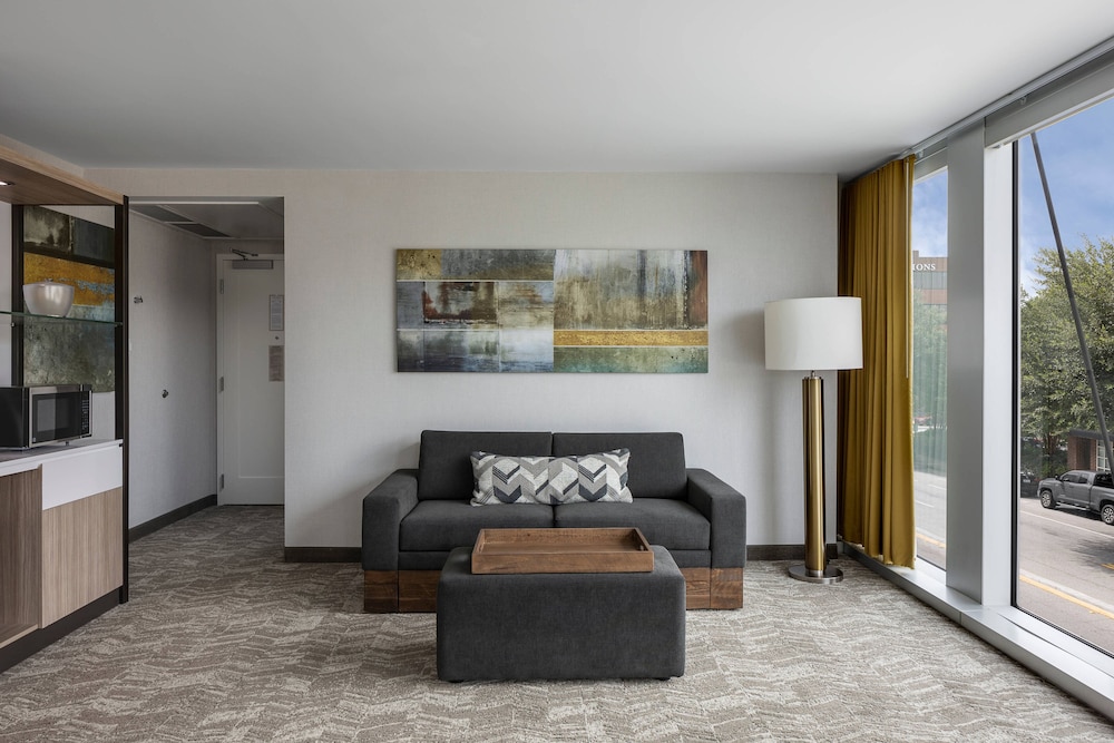Springhill Suites By Marriott Downtown Greenville 35/63
