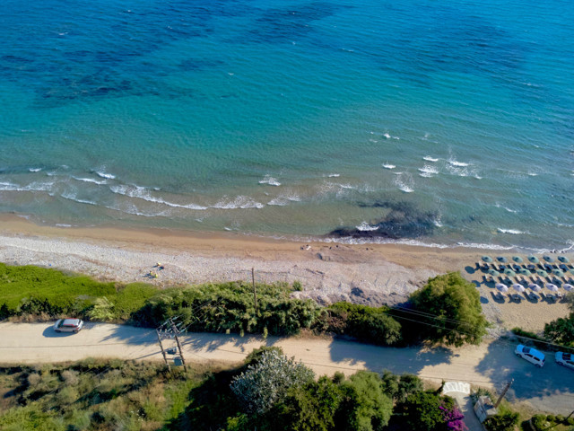 Caretta's Nest 22/37