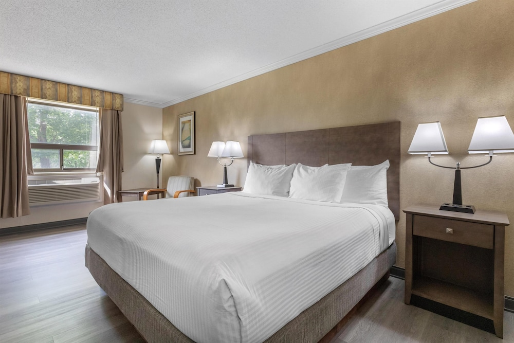 غرفة قياسية بسرير كينج، Best Western Davison Inn 10/10