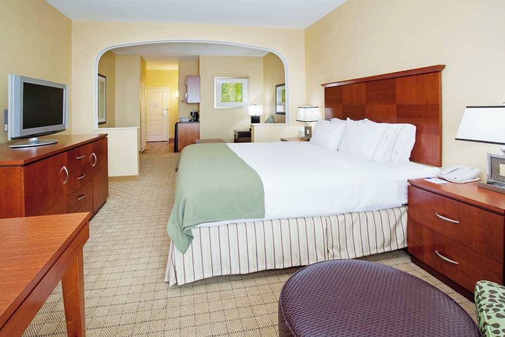 Holiday Inn Express Hotel Suites Denver Airport 14/34