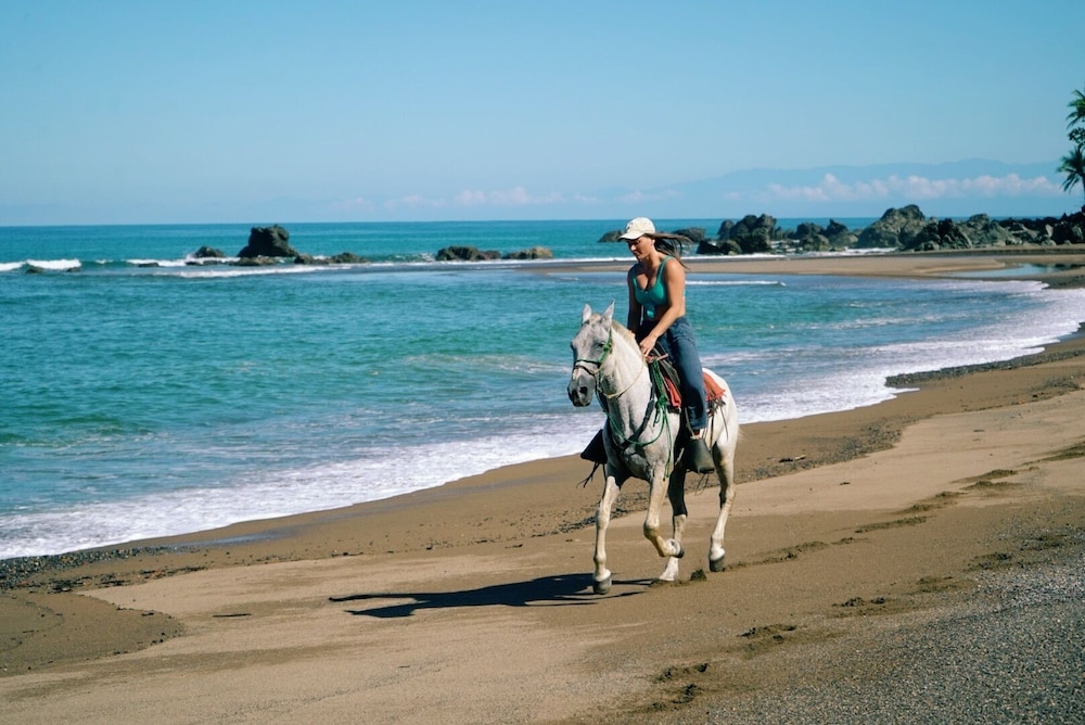 Copa De Arbol Beach &amp; Rainforest Resort 43/50