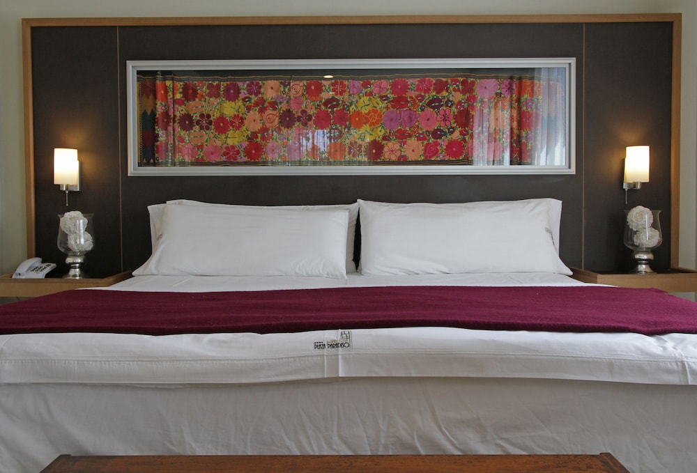Plaza Paradiso Petit Hotel 19/62