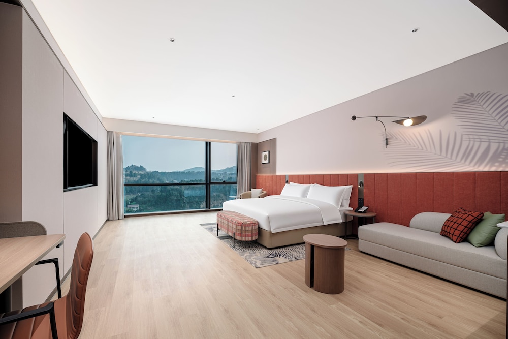 Hilton Garden Inn Mianyang Santai 19/48