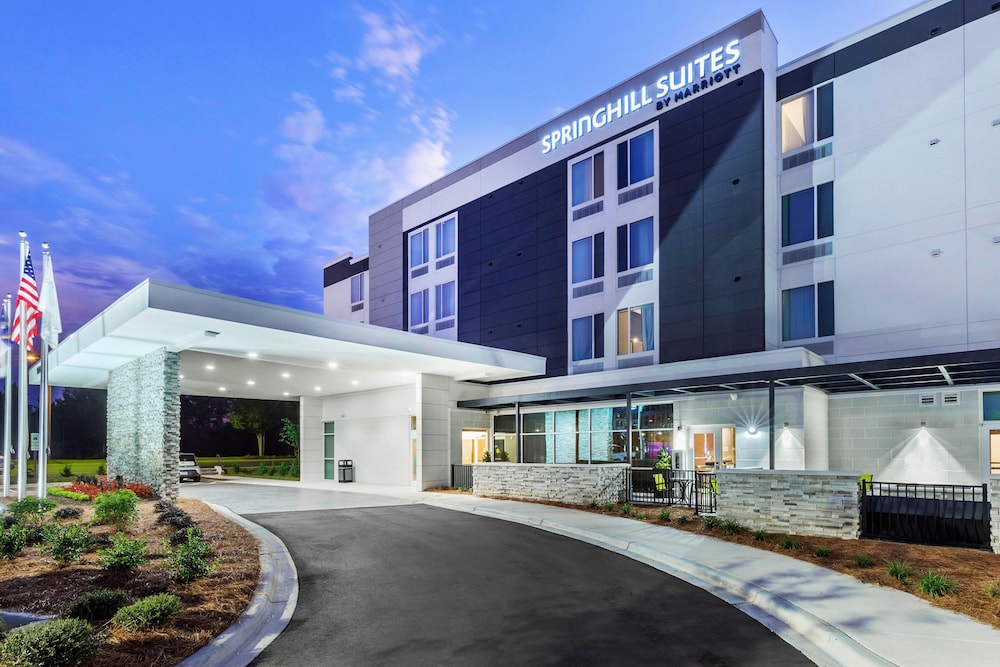 Springhill Suites By Marriott Charlotte Southwest 写真1