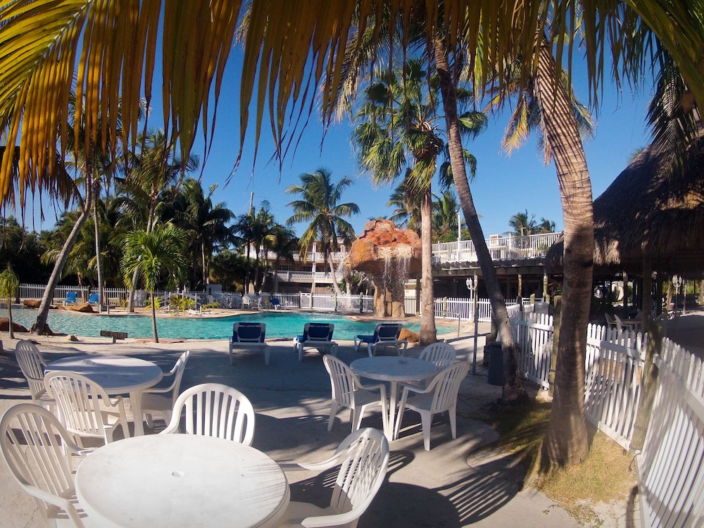 Coconut Cove Resort and Marina 33/50