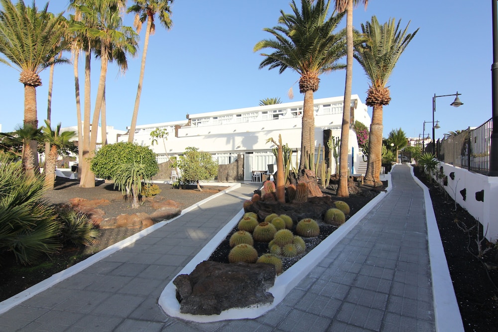 Arena Dorada 23/27