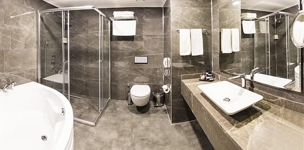 Premier Inn Sakarya 15/75