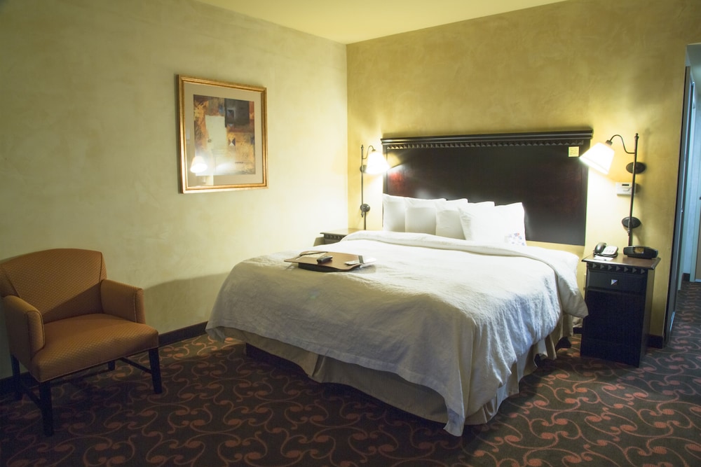 Hampton Inn and Suites Dallas Arlington North Entertainment District 15/45
