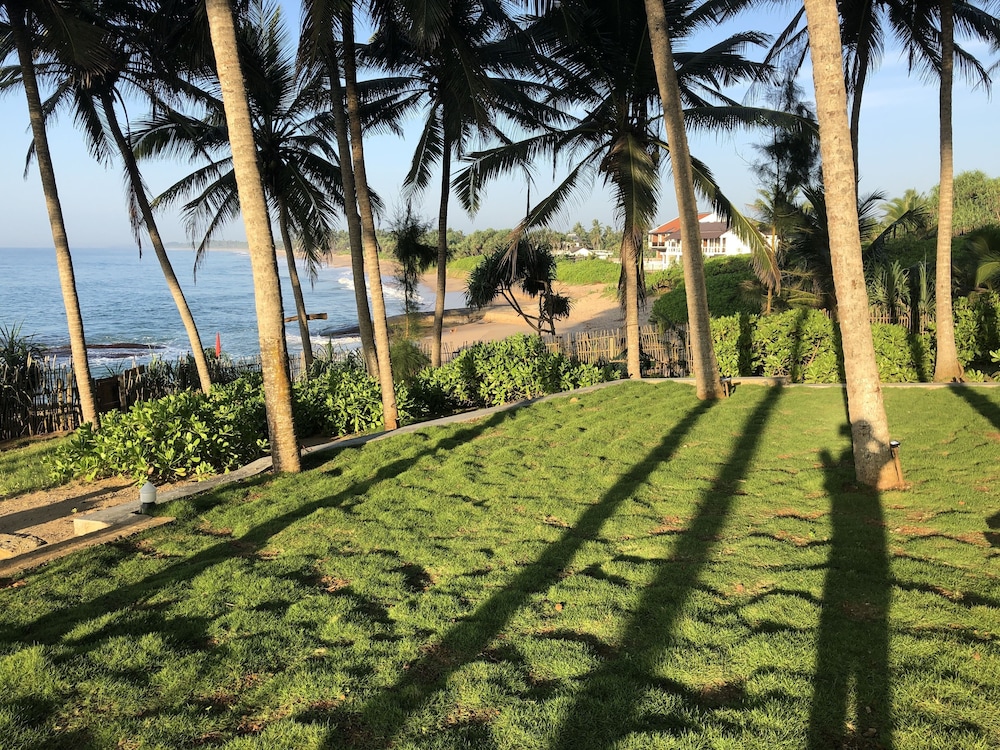 Turtle Bay 36/50