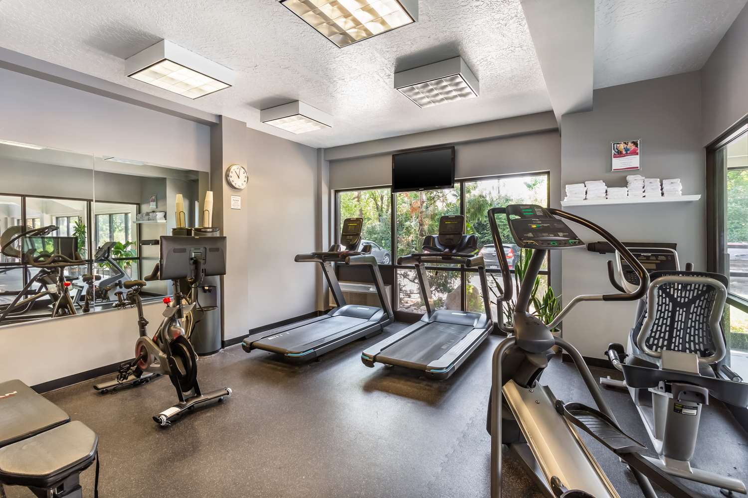 Best Western Plus Cotton Tree Inn 20/44
