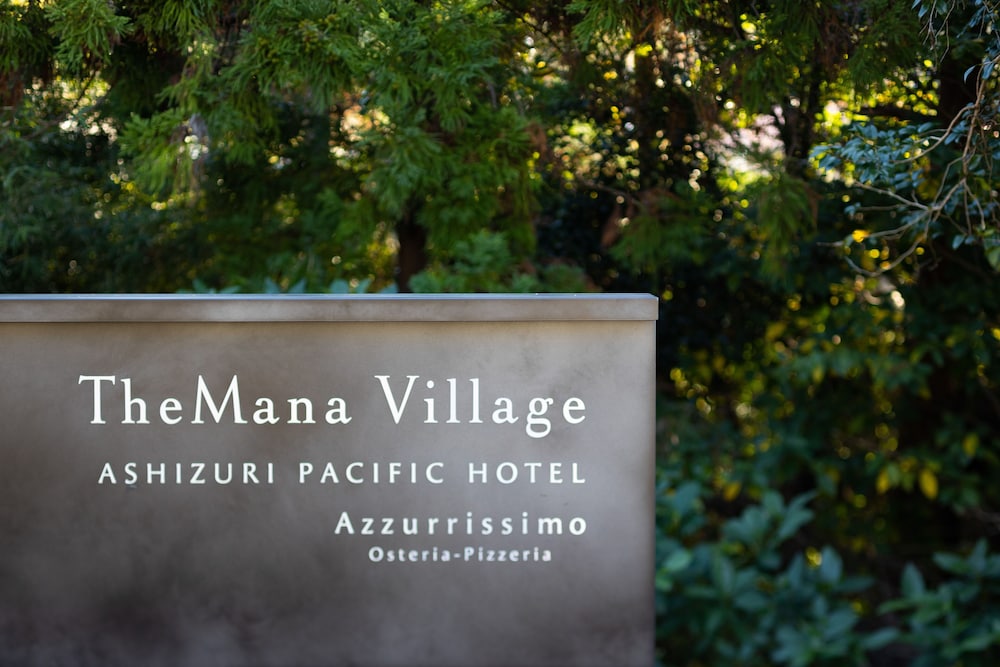 The Mana Village 1/50