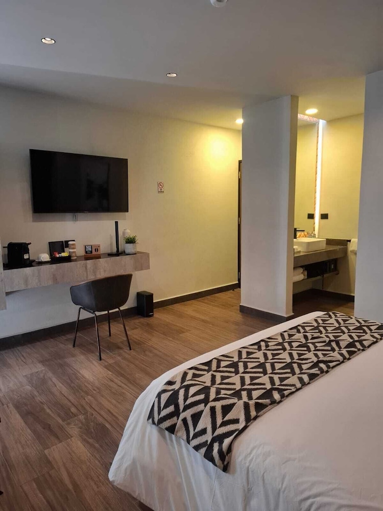Esplendor by Wyndham San Luis Potosi Monarca 18/54