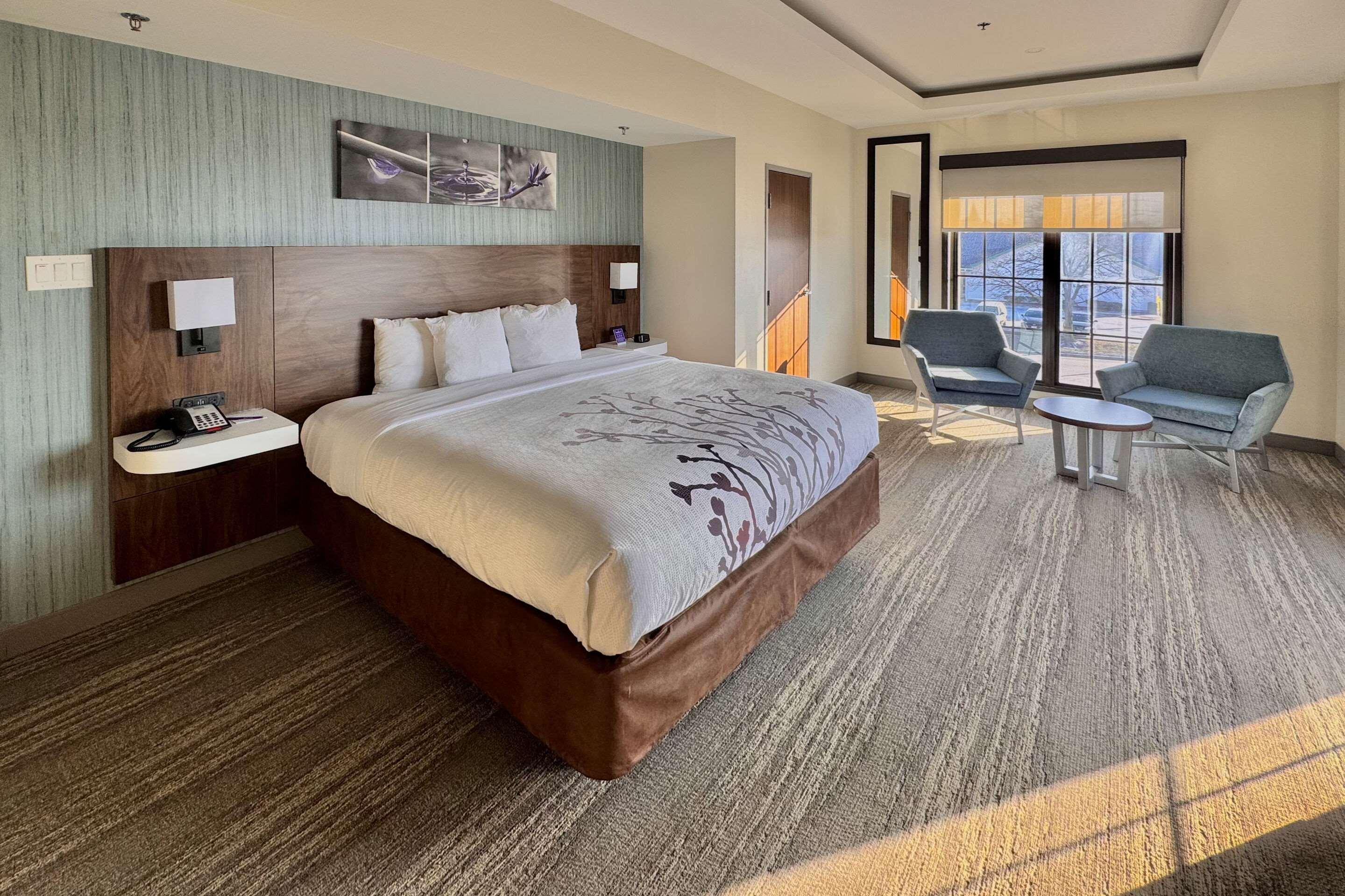 Efficiency, Suite, King Bed