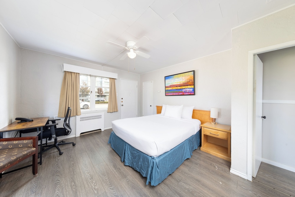 CLASSIC, STUDIO, SUITE, KITCHENETTE