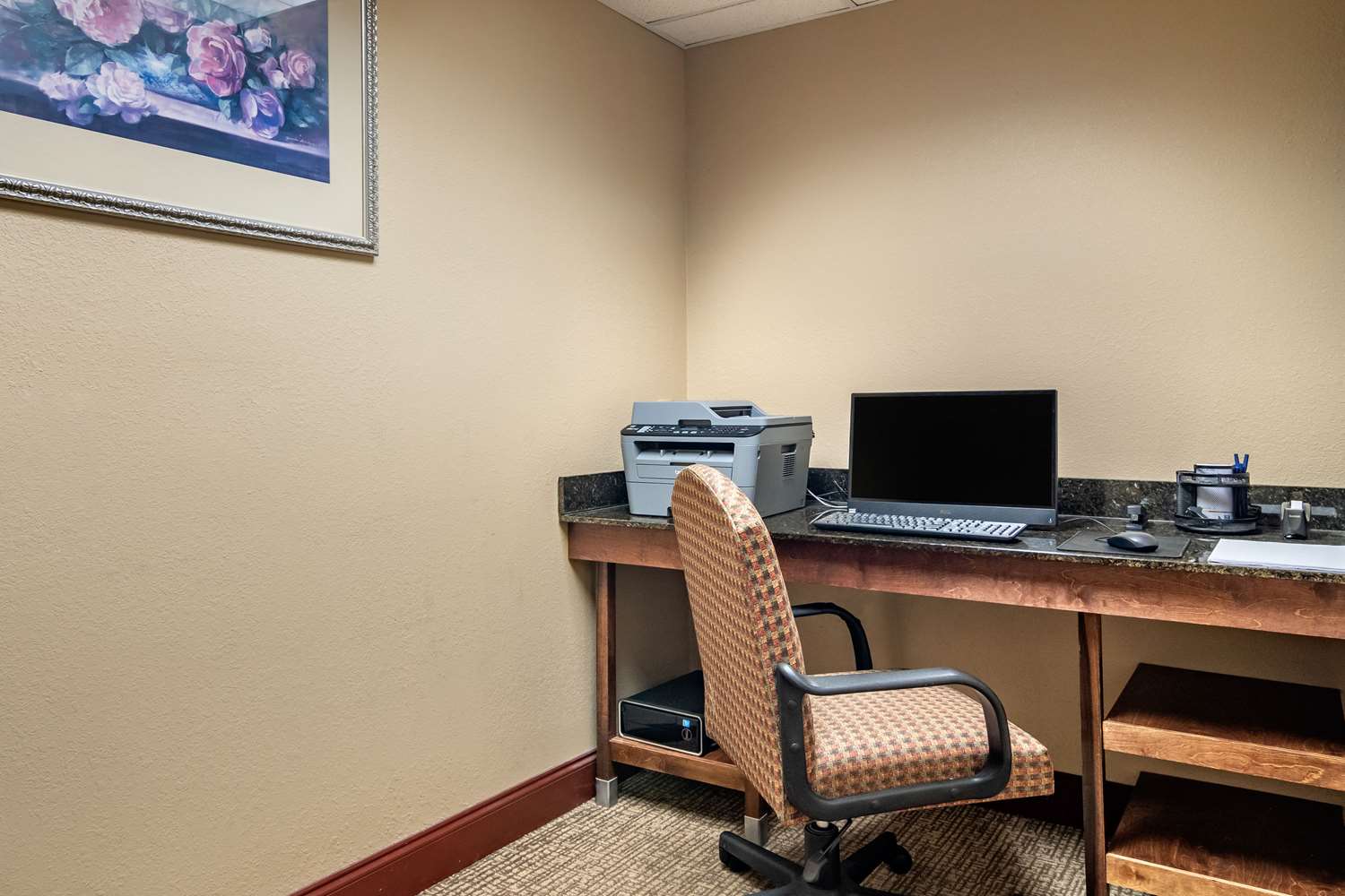 Comfort Inn Suites Suwanee Sugarloaf 28/36