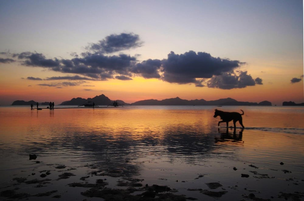El Nido Royal Palm Inn 49/54