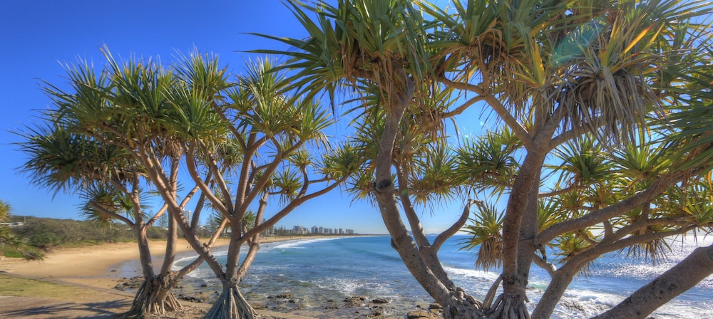 Alex Beach Cabins and Tourist Park 37/50