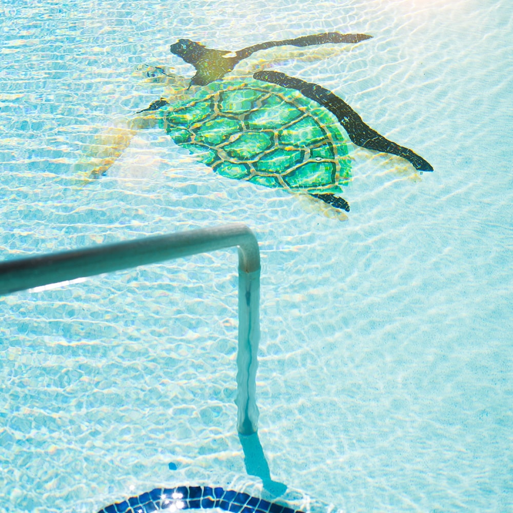 Sea Of Cortez Beach Club 40/72