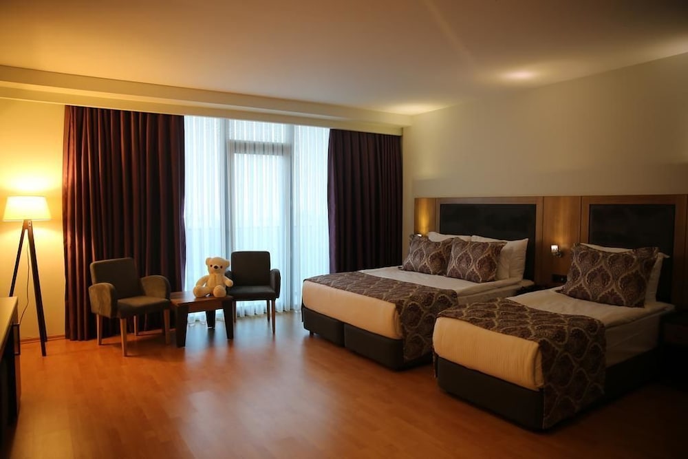 DELUXE, APARTMENT, BALCONY
