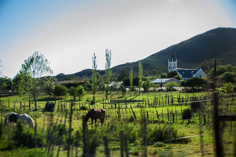 Barrydale Karoo 8/50