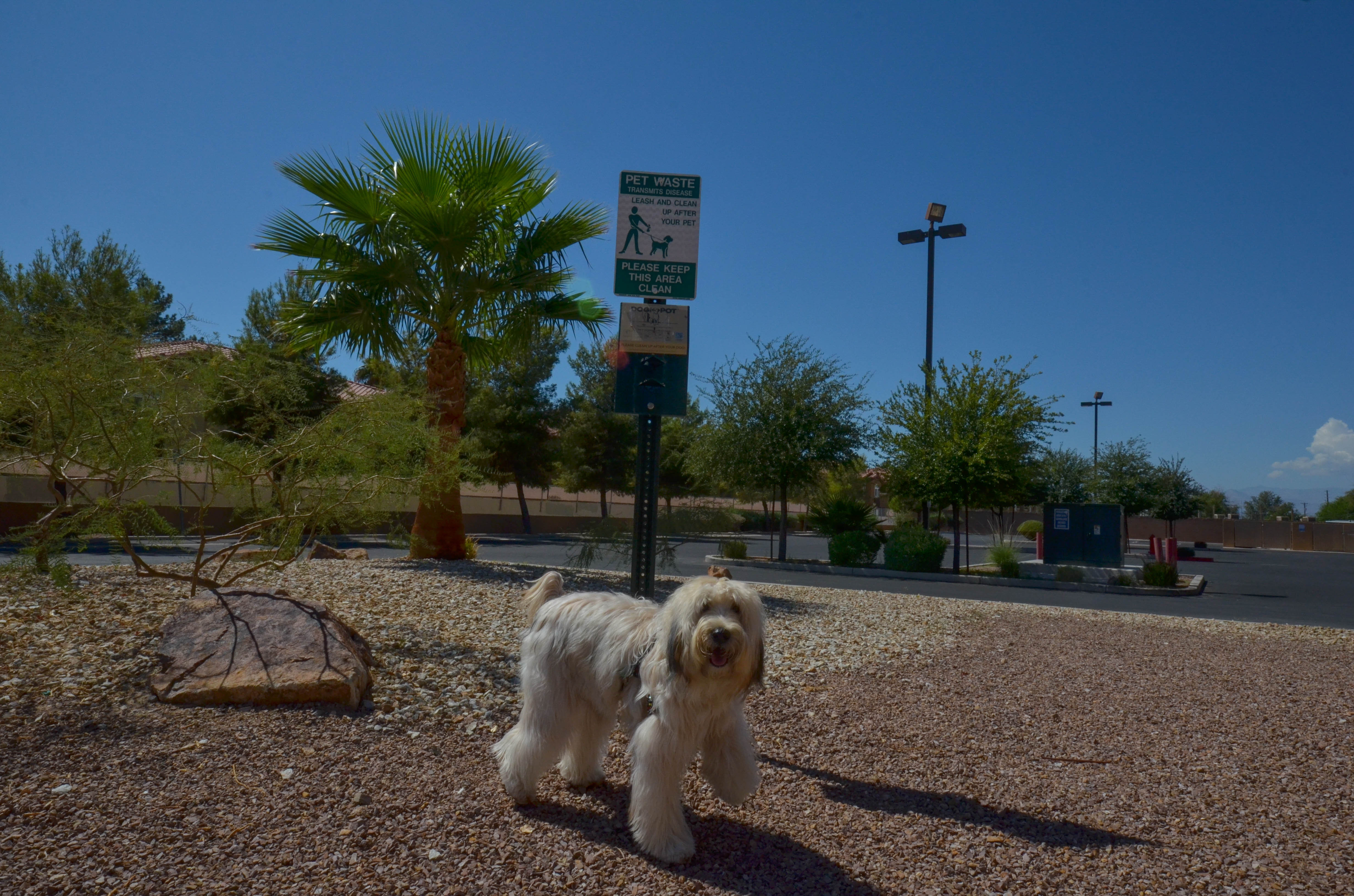 Holiday Inn Express Las Vegas-Nellis, an IHG Hotel 46/47