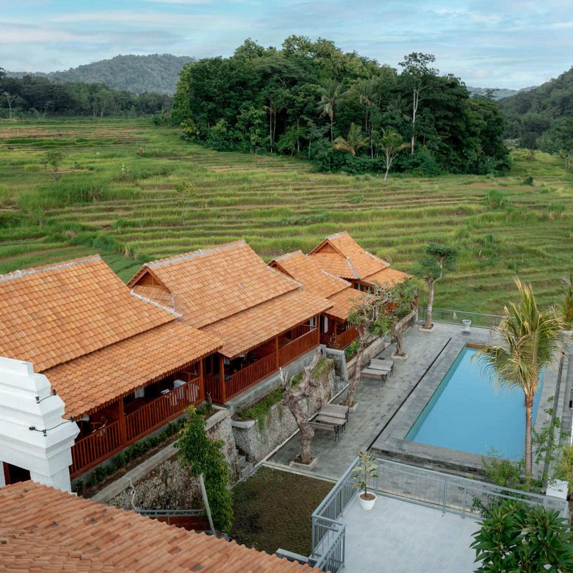The Swantari by ARBA 29/32