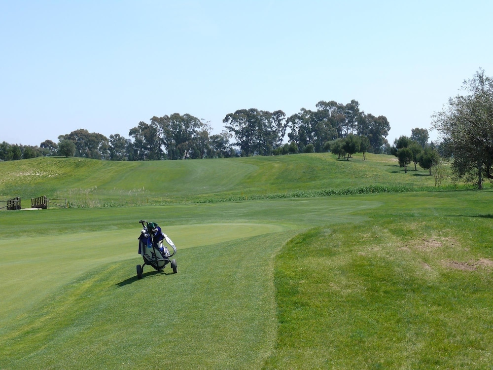 Metaponto Golf Club 7/31