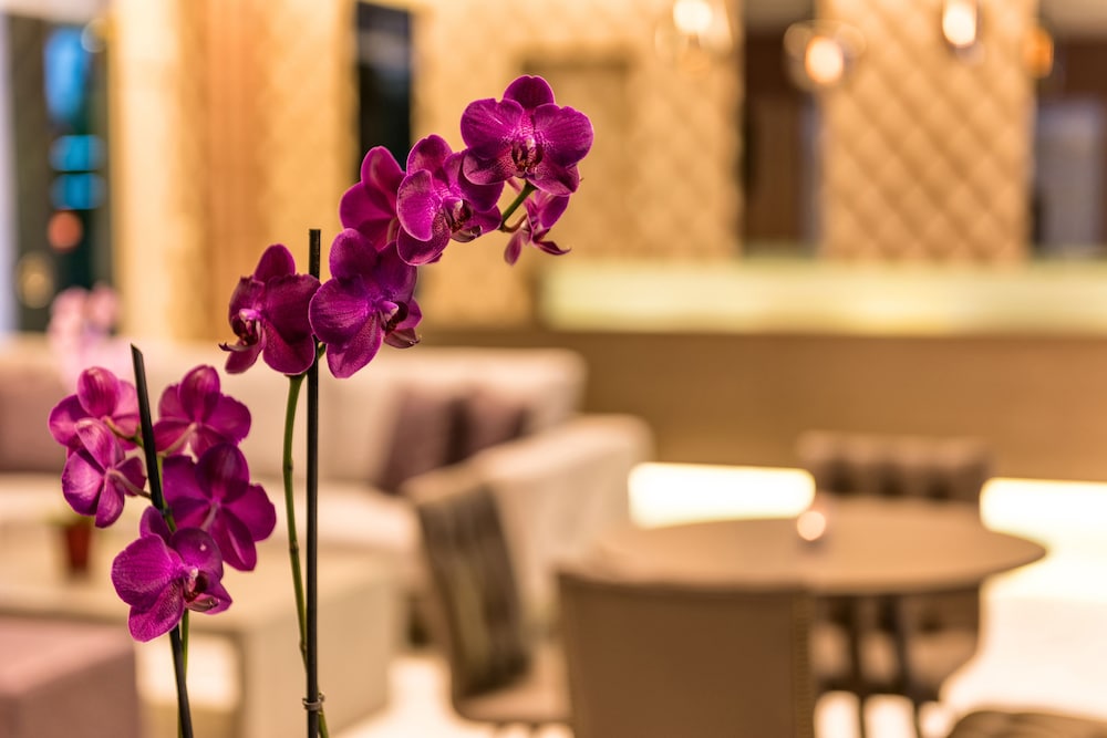 Ariadne Hotel 19/30