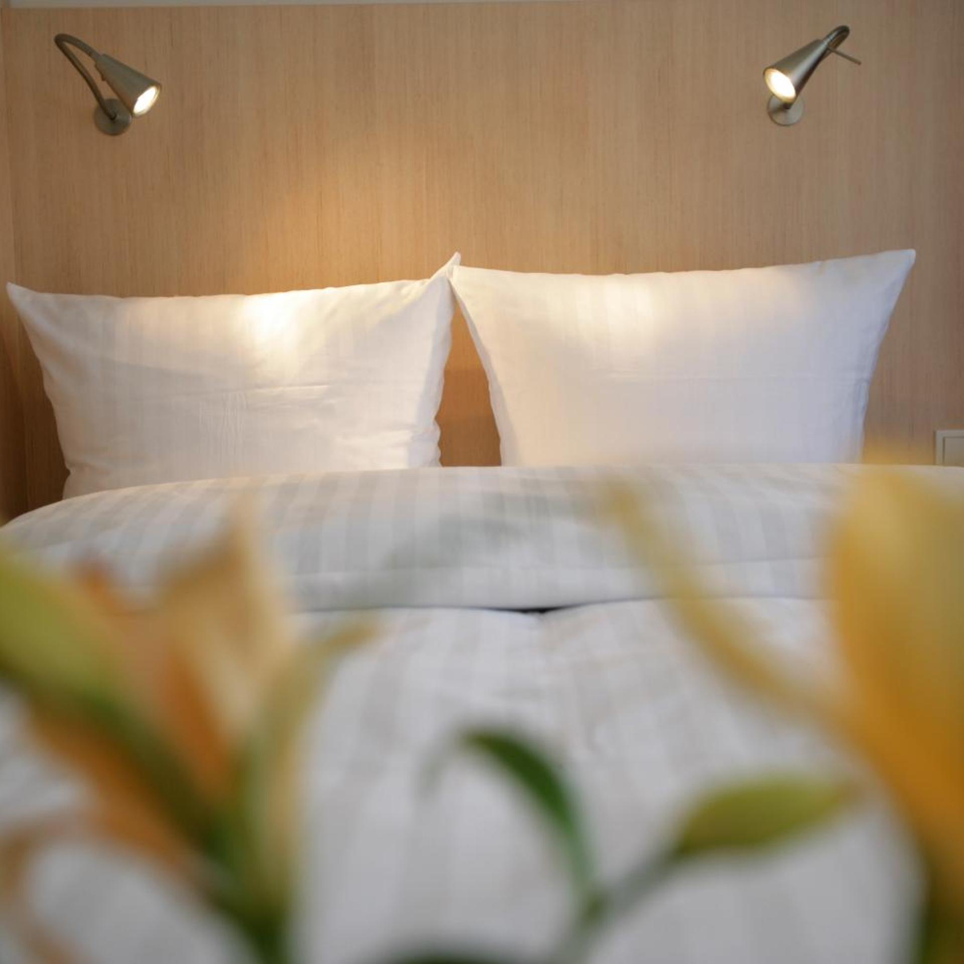 Top Hotel Senator 28/50