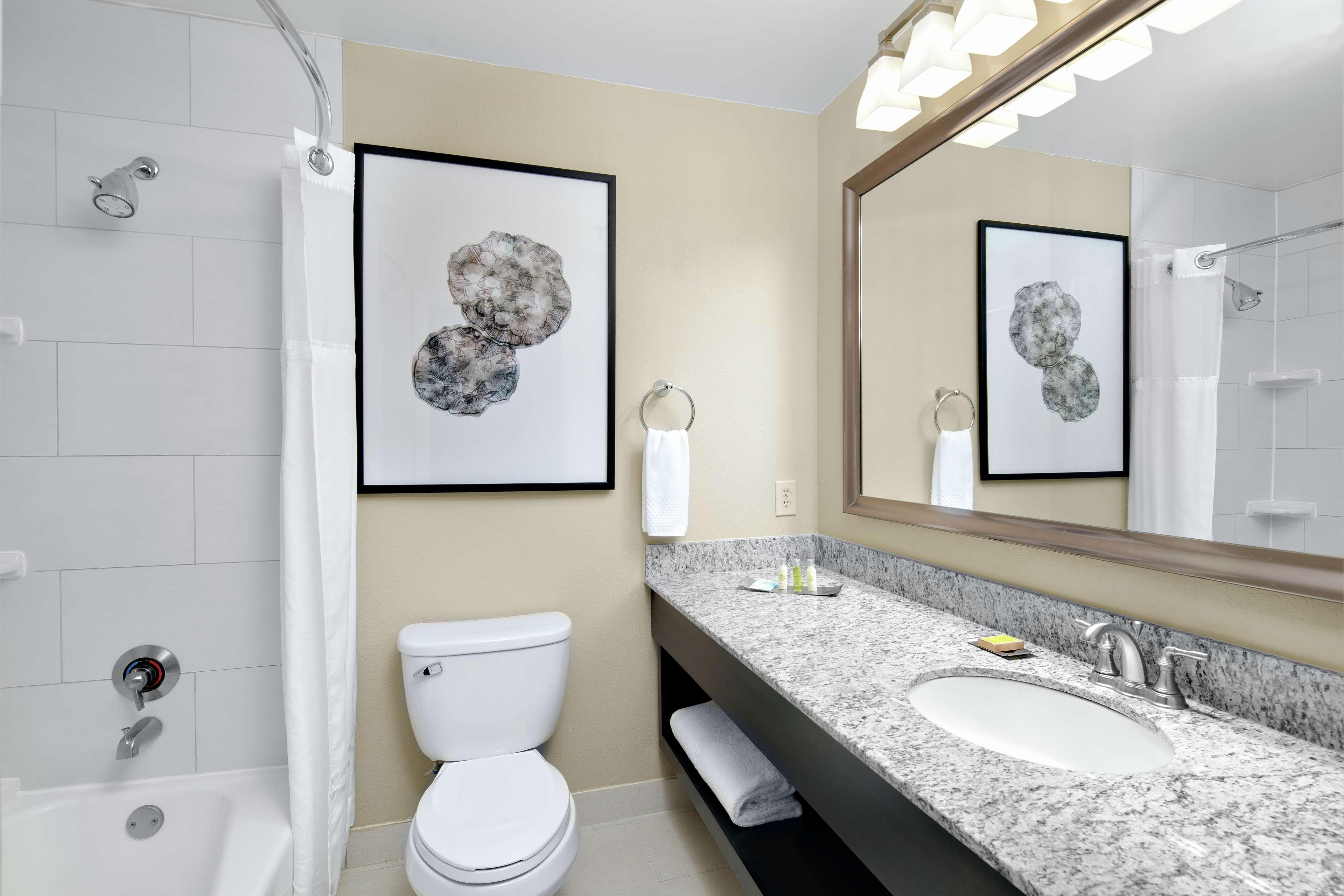 2 Bedrooms, Suite, 1 King or 2 King Beds, Kitchen، DoubleTree Suites by Hilton Charlotte SouthPark 4/4