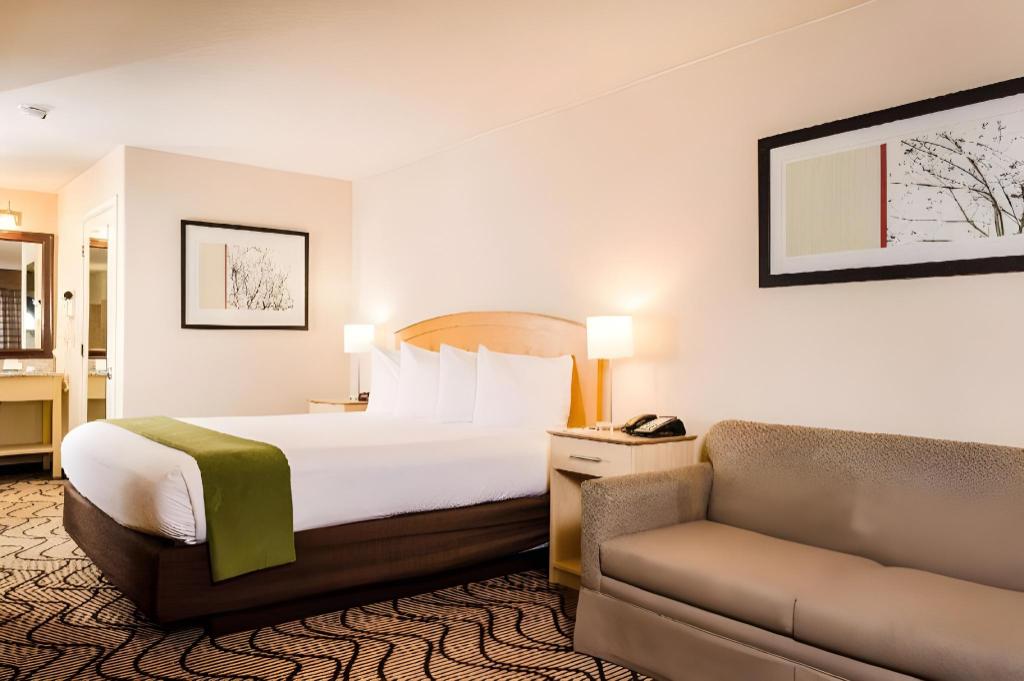 Room, King Bed, Sofa, Accessible