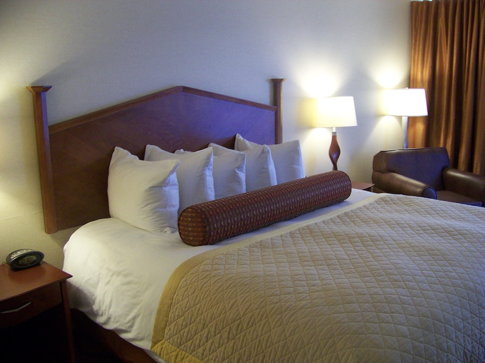 Norfolk Country Inn Suites 9/37