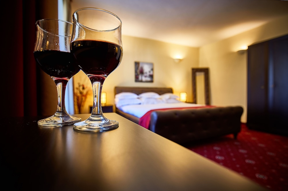 Hotel Rina Sinaia 17/50