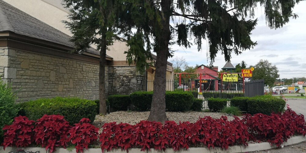 American Value Inn Columbus Ohio State I-71 19/20