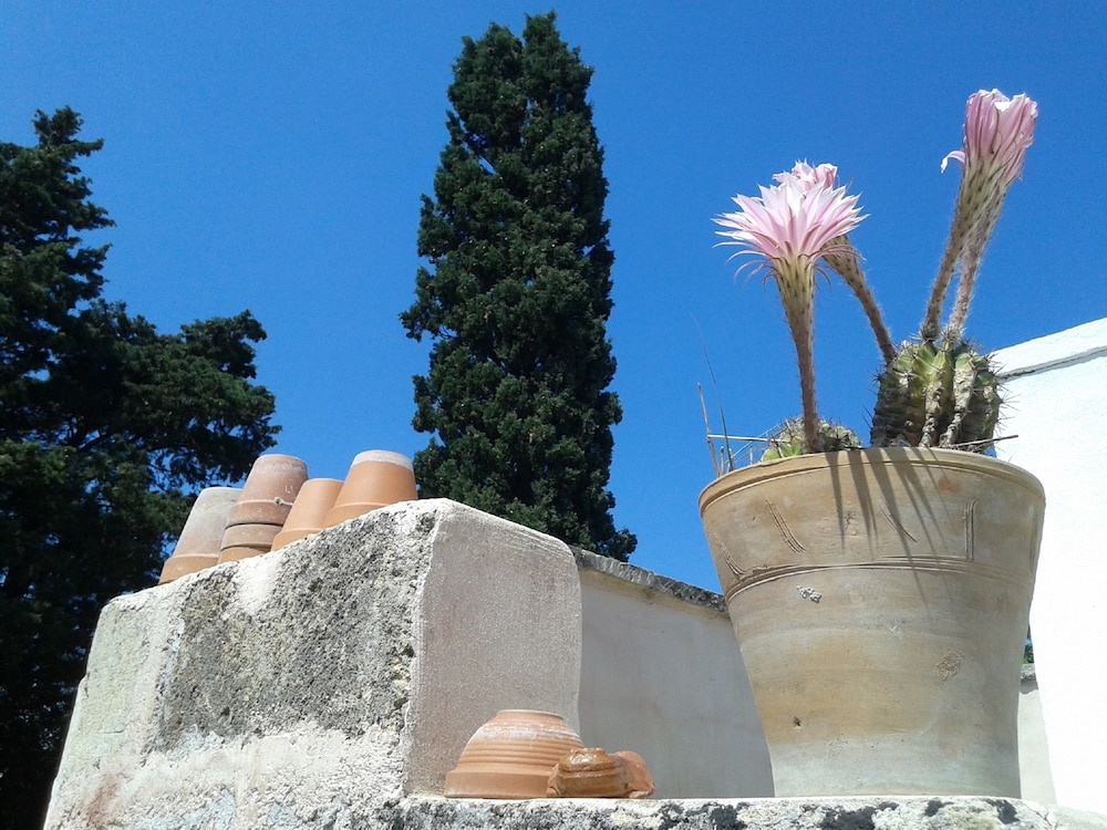 B&B Masseria Delle Rose 1760 30/33