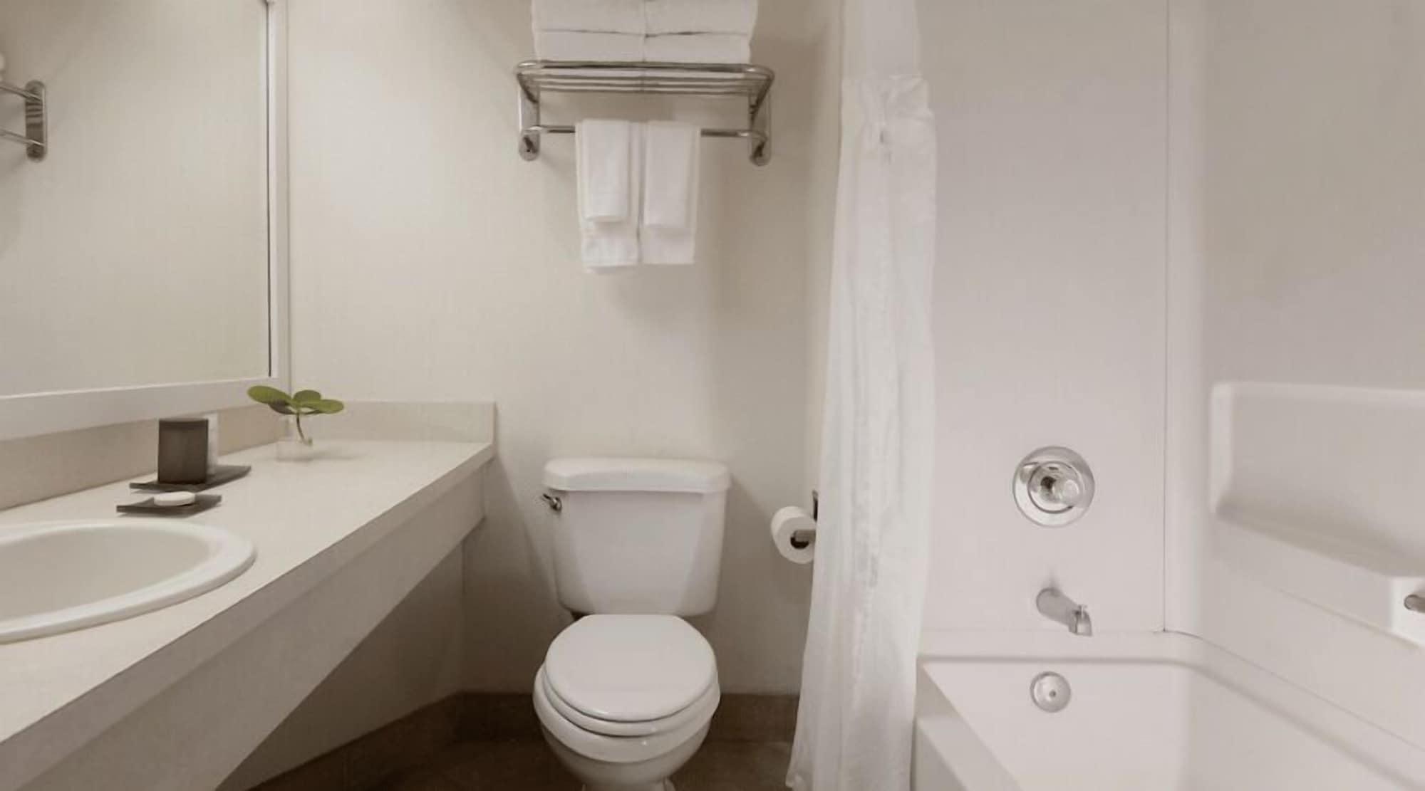 Oasis, Deluxe, Double Bed، SkyBeach Resort 3/3