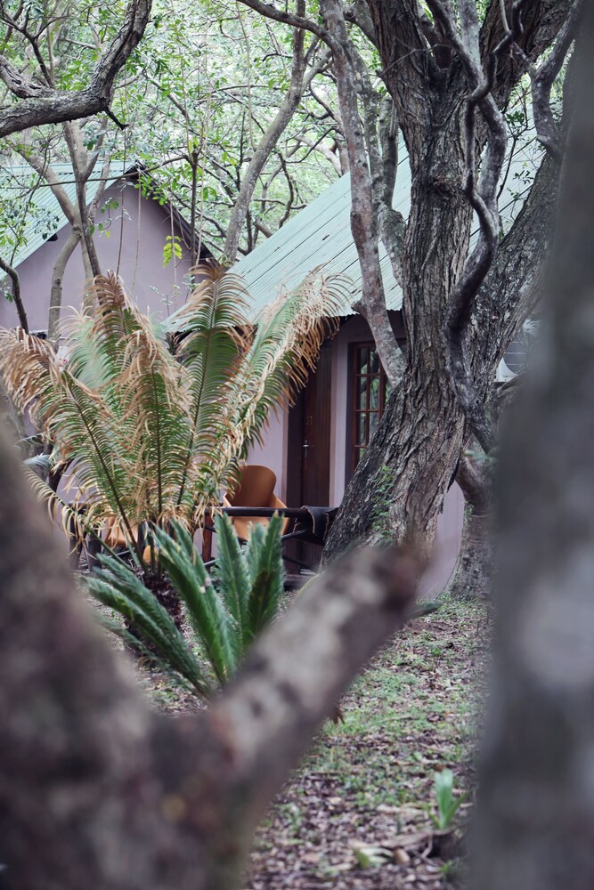 Emdoneni Lodge with Animal Care and Rehab Centre 59/66