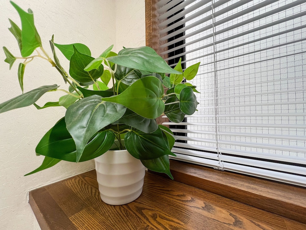 Hondori Inn 47/60