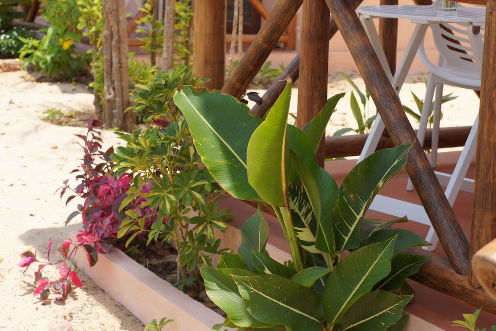 Gold Sand Beach Bungalow 14/41