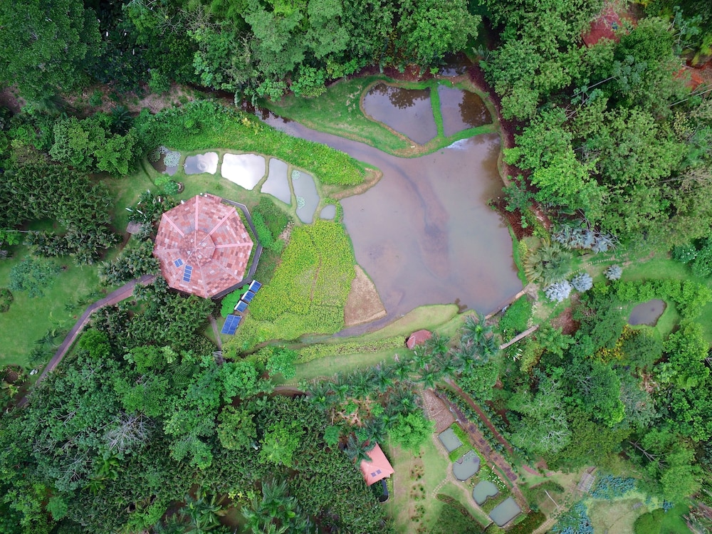 Macaw Lodge 5/64