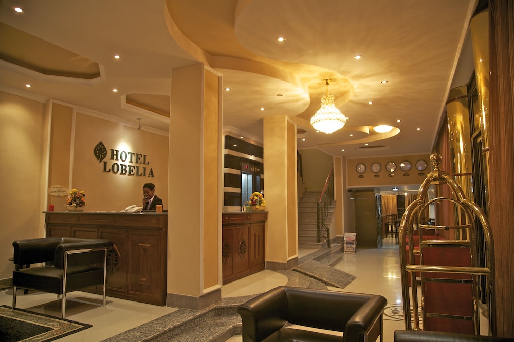 Lobelia Hotel 59/68