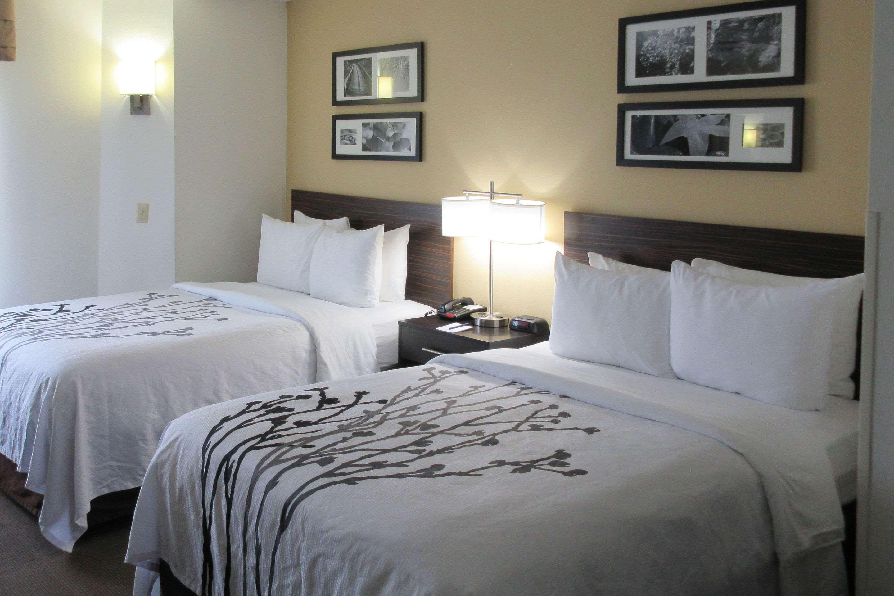 Room, 2 Double Beds