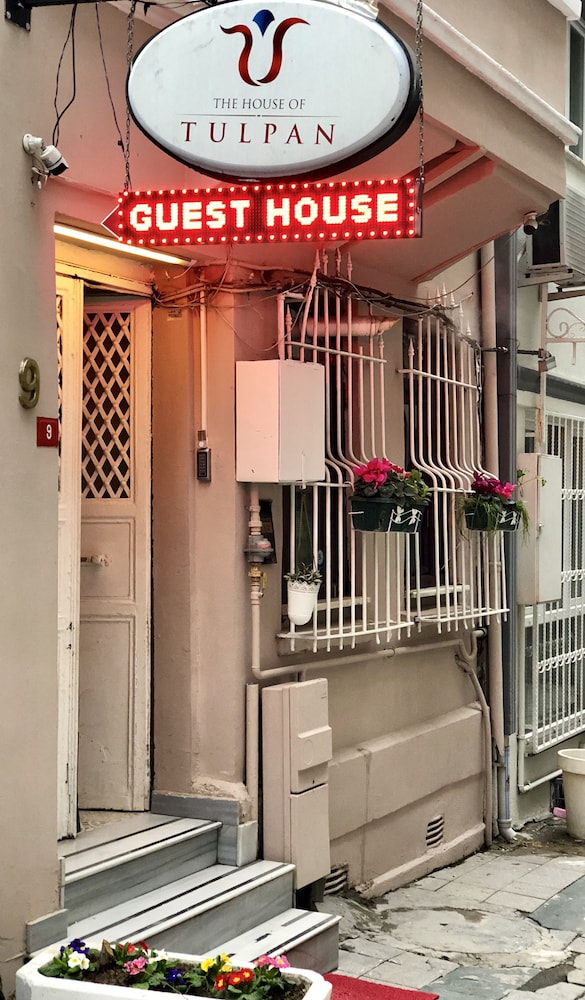 THE HOUSE OF TULPAN 3/34