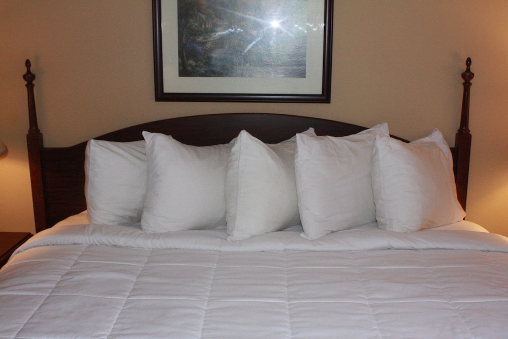 Americas Best Value Inn Springfield - Mansion View 19/47